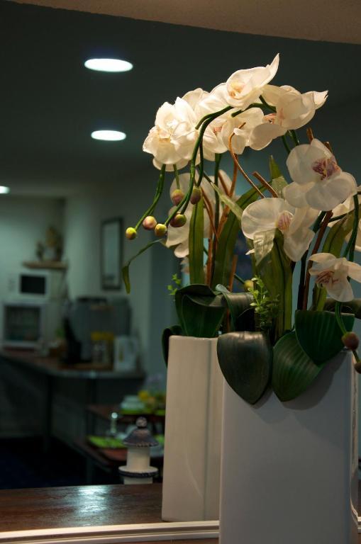 Hotel Aer Vieille-Toulouse Ngoại thất bức ảnh