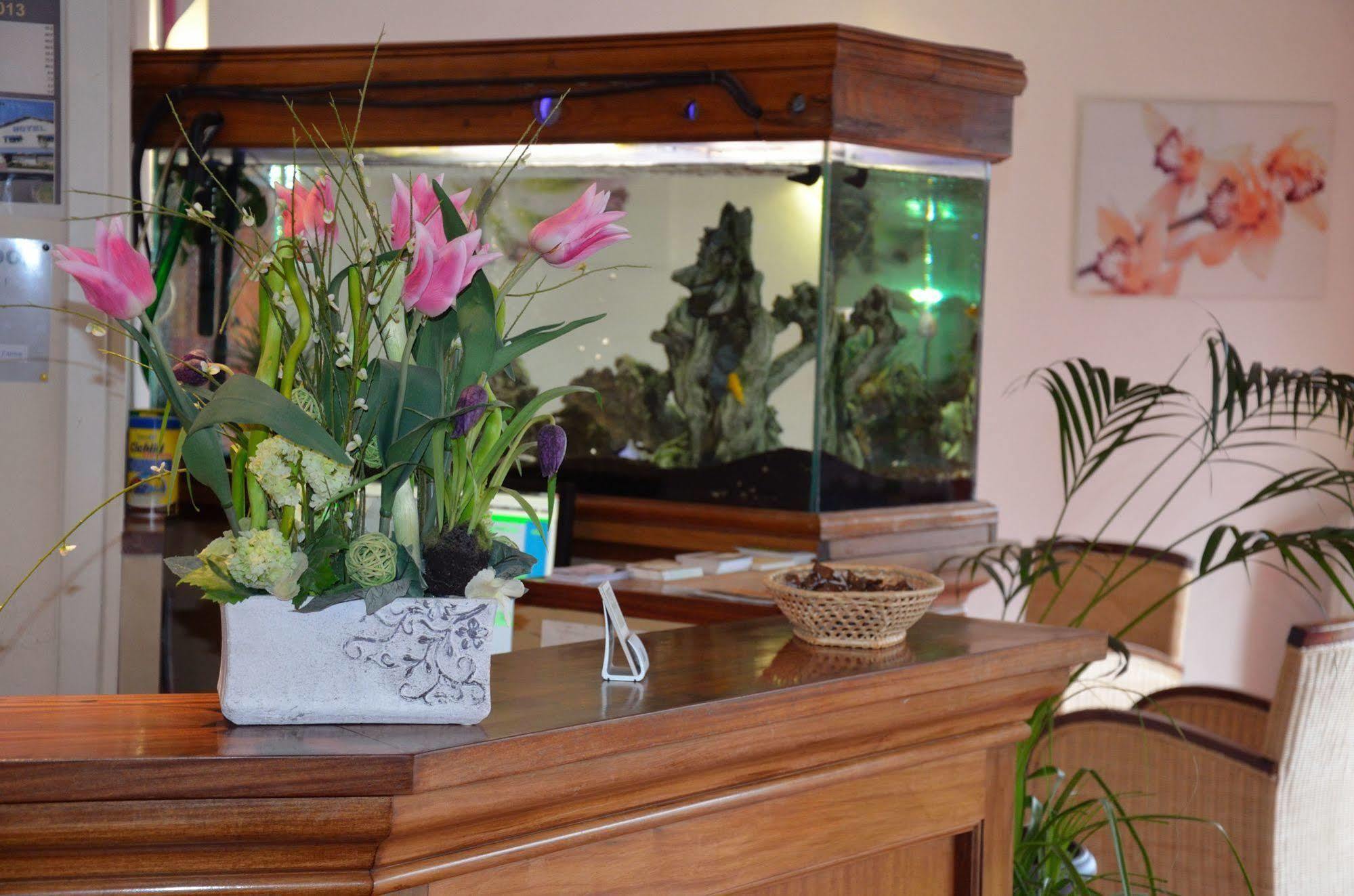 Hotel Aer Vieille-Toulouse Ngoại thất bức ảnh